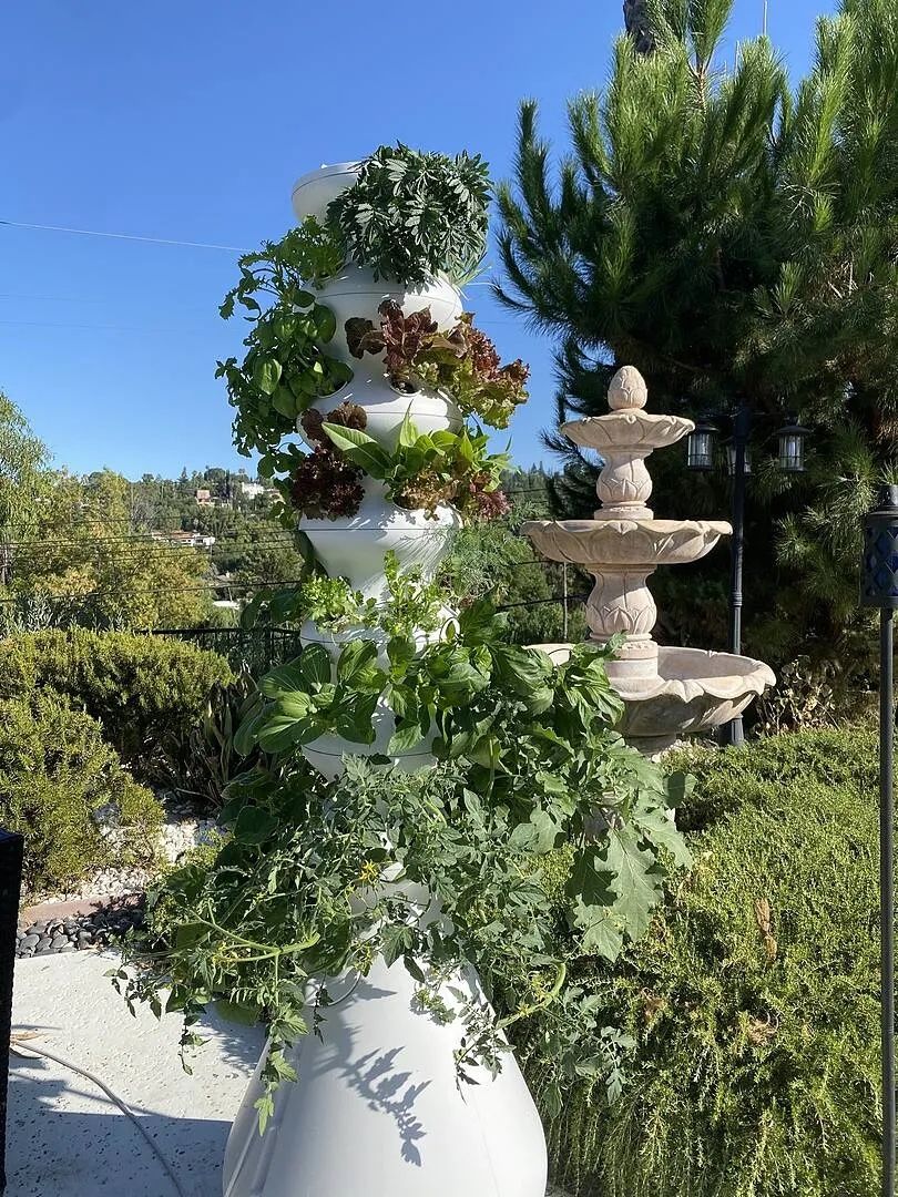 Lettuce Grow Farmstand 24 — Good Condition