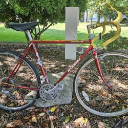 54cm Nishiki Riviera GT Road Bike 