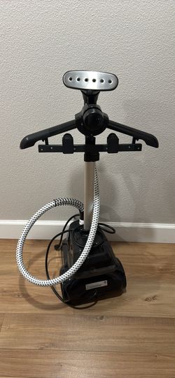 Stand up steamer