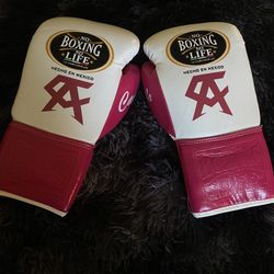 Canelo No Boxing No Life Gloves 