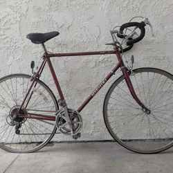Nishiki Road Bike 