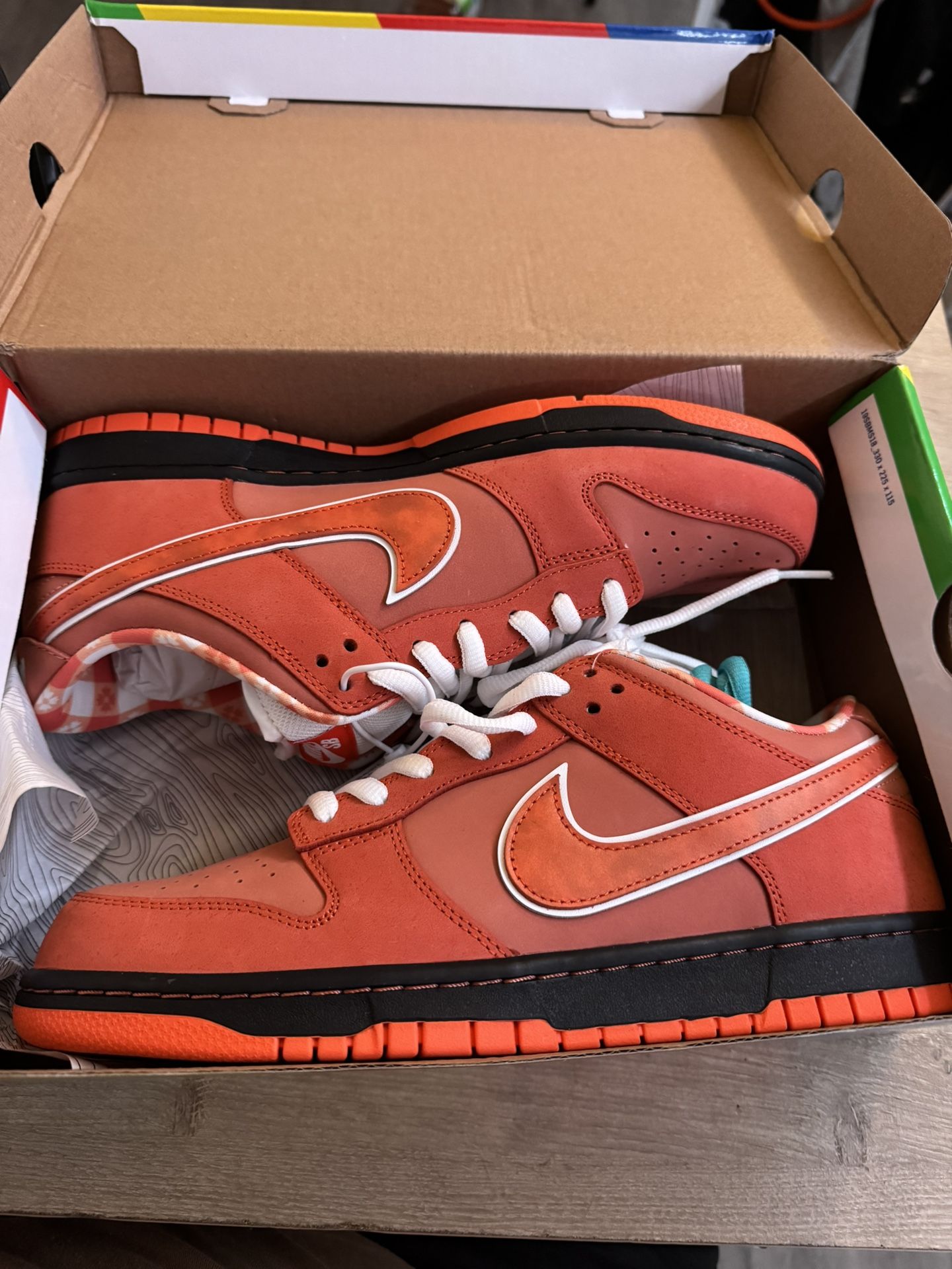 Orange Lobster 🦞 