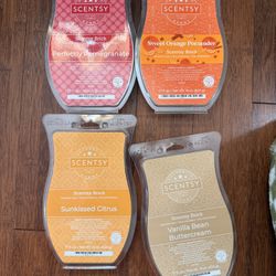 Scentsy Bricks $8 Ea