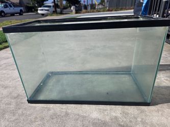 10 Gallon Fish tank