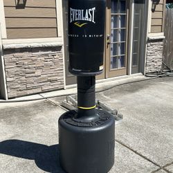 Everlast Stand Alone Punching Bag