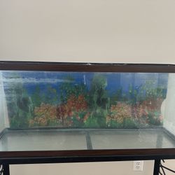 Fish Tank (50-55 Gallons)