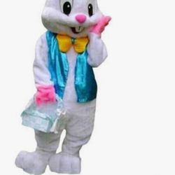 Easter Bunny/Basket's 