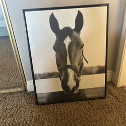 New Horse Print 
