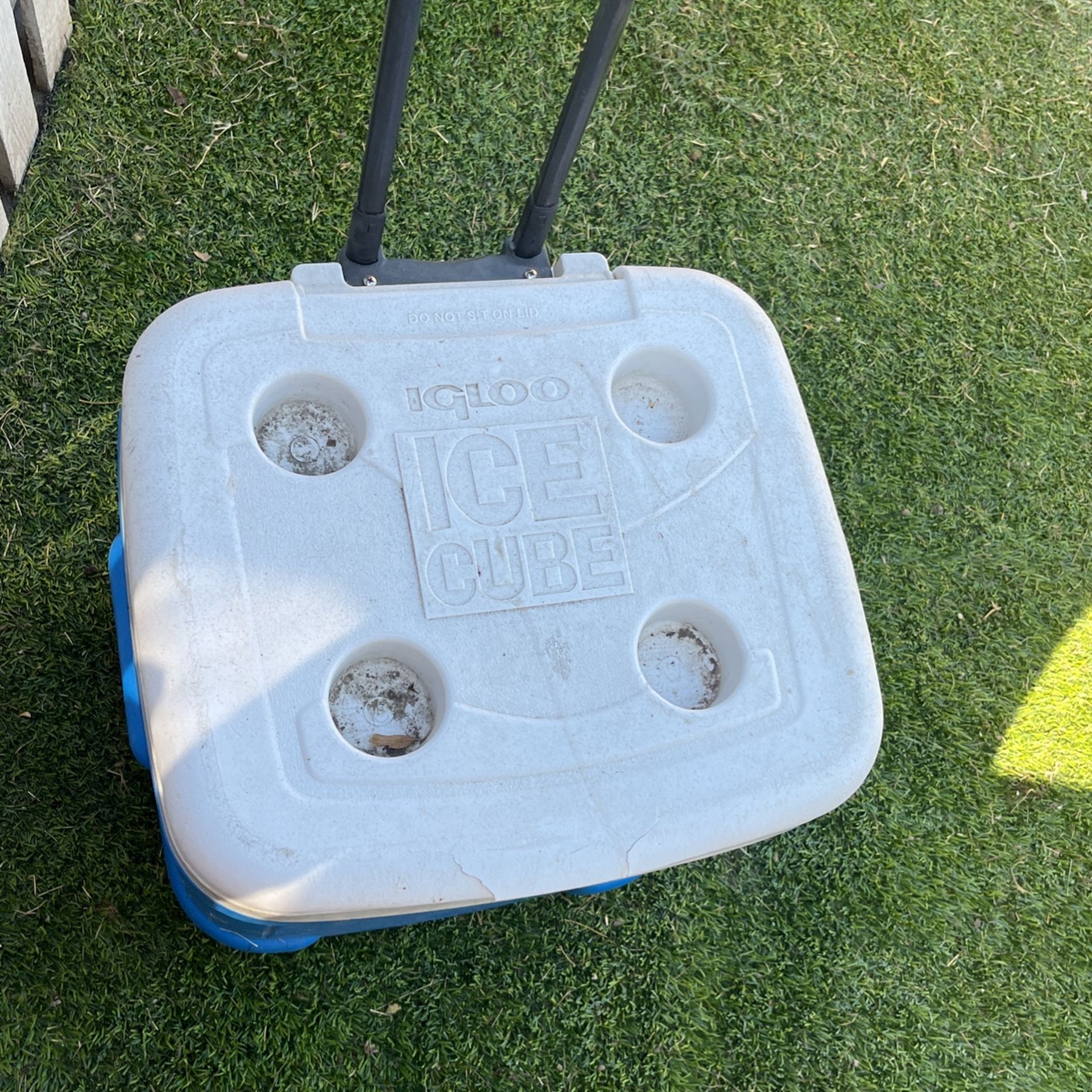 Ice cooler