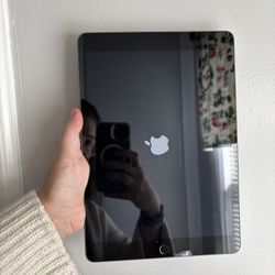 iPad 9th Generation WiFi 256 Gb