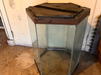 Hexagonal Glass Terarium Tank