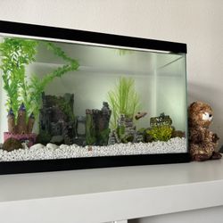 5.5 Gallon Fish Tank with Accessories and Everything in pics