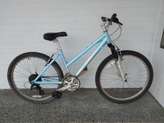 Giant 21 discount speed mountain bike