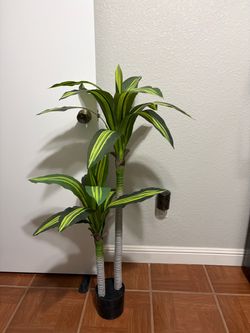 Artificial Dracaena Tree