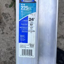 Werner Ladder 