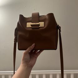 Aldo Purse (Never Used)