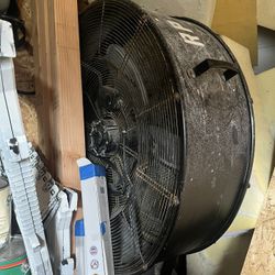 Fan 