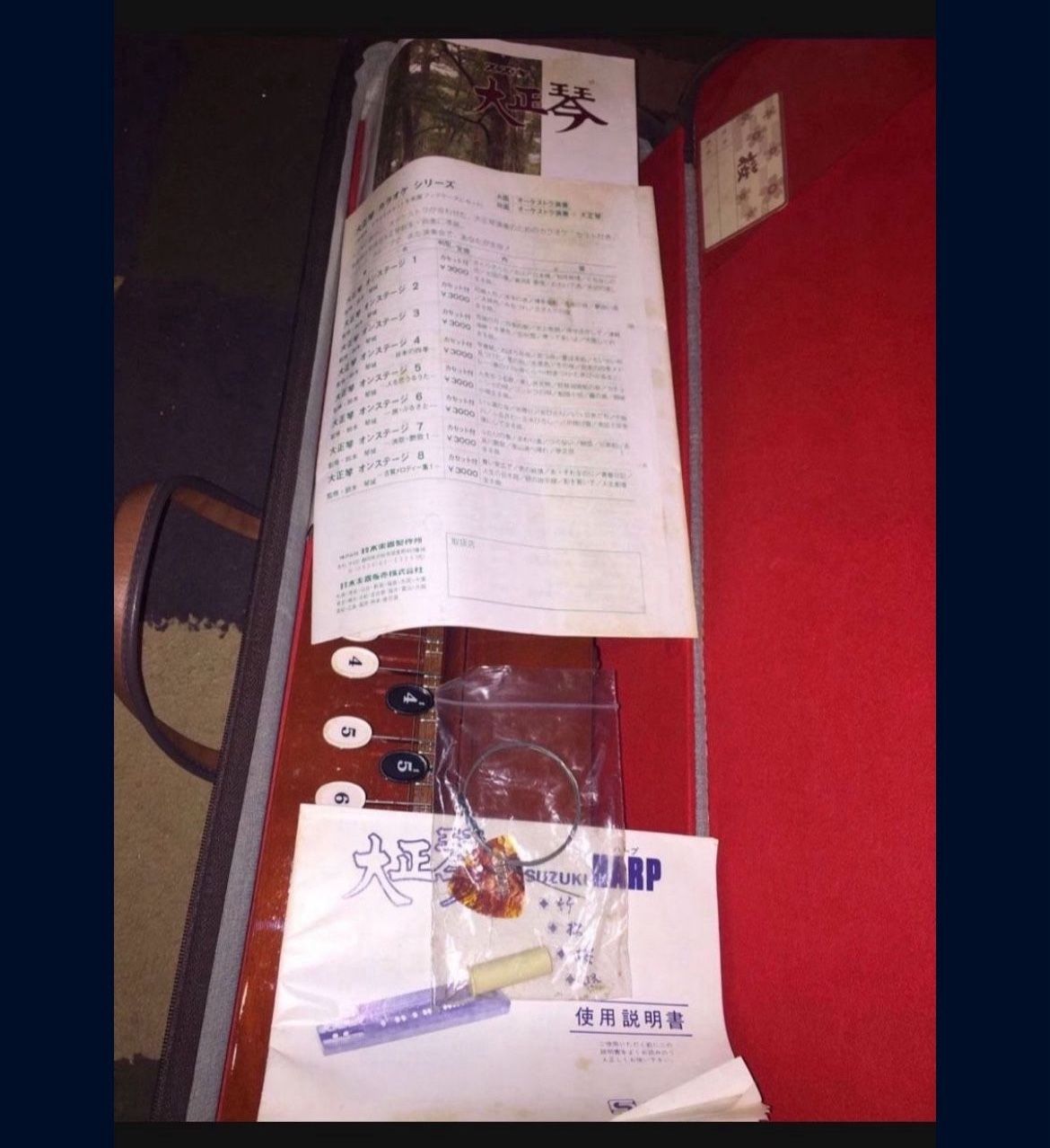 Japanese Musical Harp Suzuki