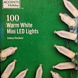 100ct LED Warm White LEDs  Christmas Lights 