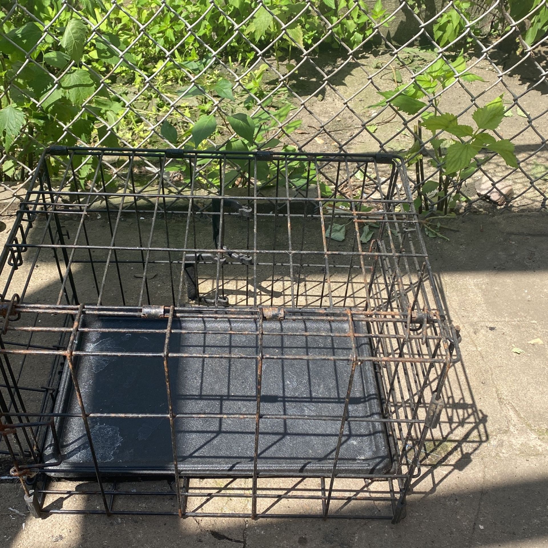 Small Heavy Cage