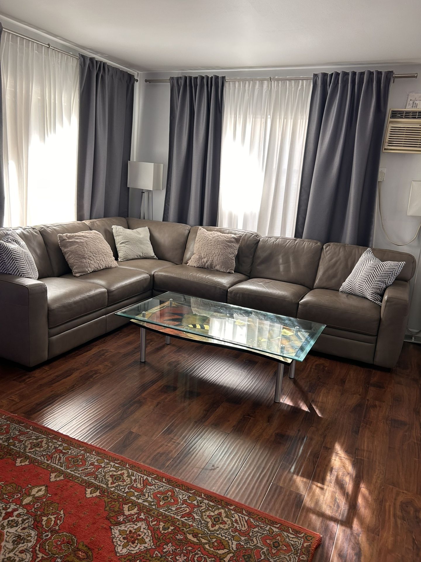 Leather Sectional couch