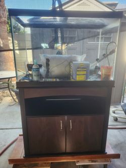65 gallon fish tank