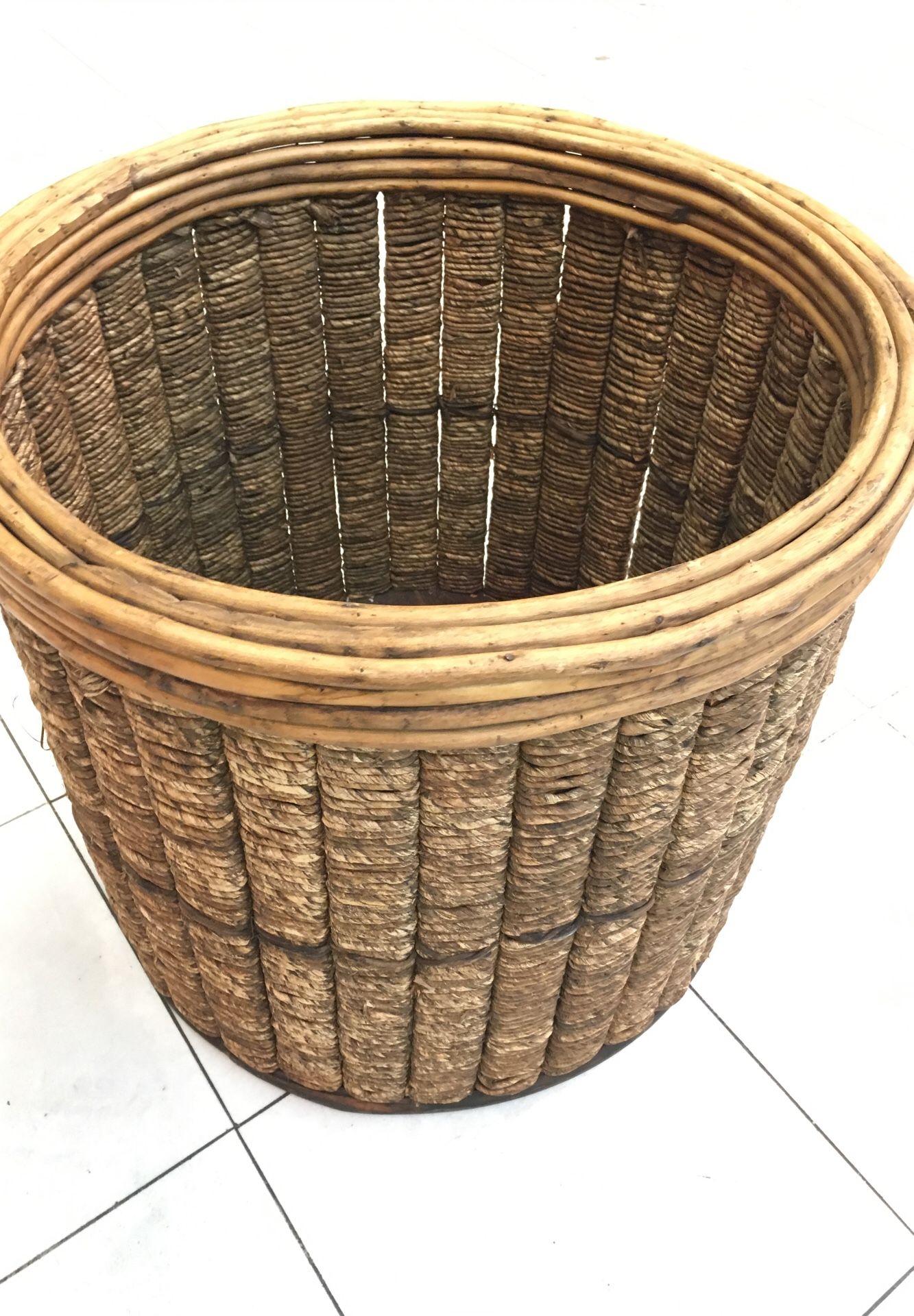 Plant / tree. Pot rattan and bamboo