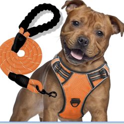 No Pull Dog Harness, Dog Vest Harness with A Free 5ft Dog Leash, 3M Reflective Breathable Oxford Harness for Large Dogs with Mental D Ring and Easy Co
