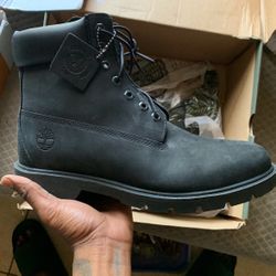 Brand New Timberlands