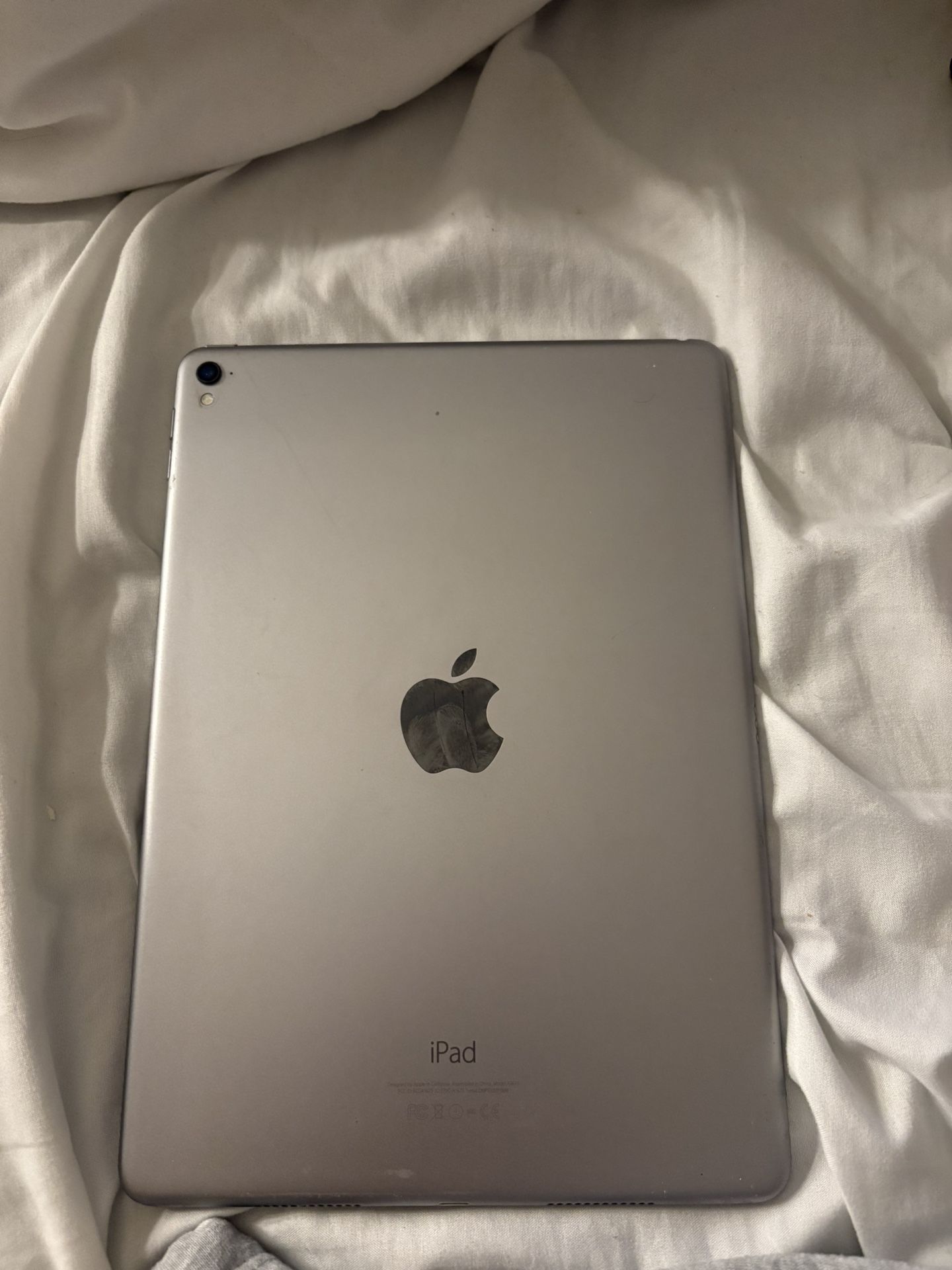 iPad Pro (9.7 Inch )