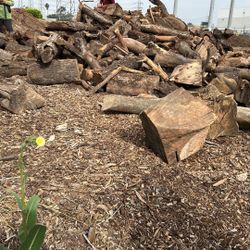 Firewood
