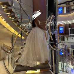 Quinceanera / Sweet 16 Dress