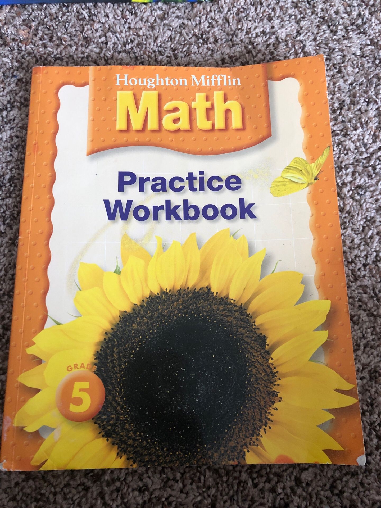 Grade 5 Houghton Mifflin Math workbook