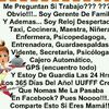 Lady