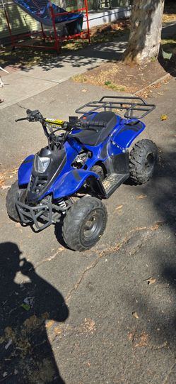 Gas Quad for Kids 110cc // $800