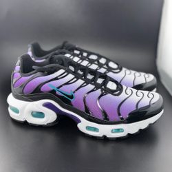 Nike Air Max Plus Reverse Grape (GS )
