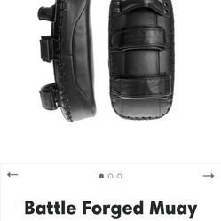 Muay Thai Pads 