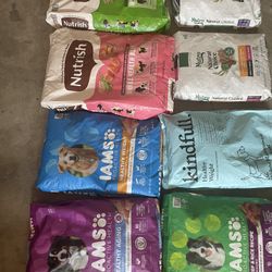 Dog  Food