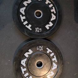 Set of 2 Titan 25 lb bumper plates - $69