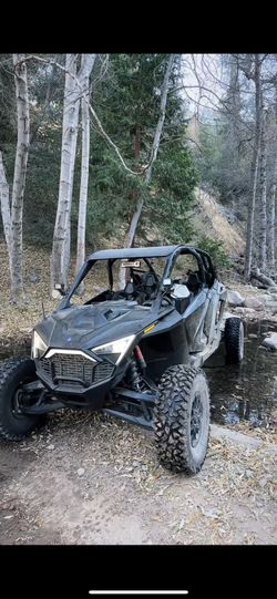 Rzr Pro R