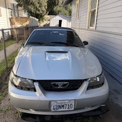 2001 Ford Mustang