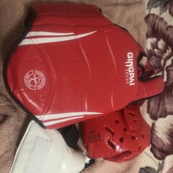 Taekwondo Sparing Gear Set 