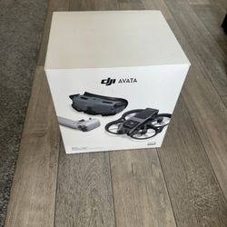 DJI Avata Pro View Combo (DJI RC Motion 2) Drone