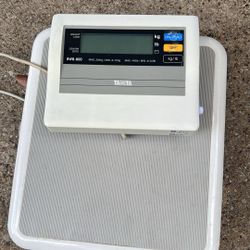 We Type Weight Scale