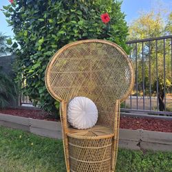 Peacock Chair 