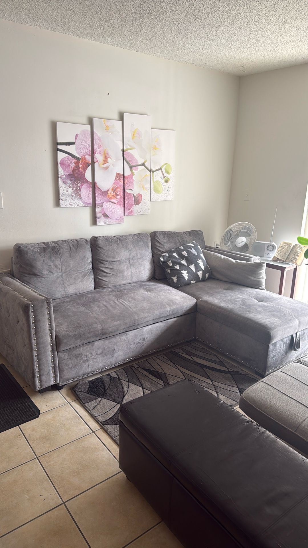 Couch -Living Room/ Pull Out Bed 