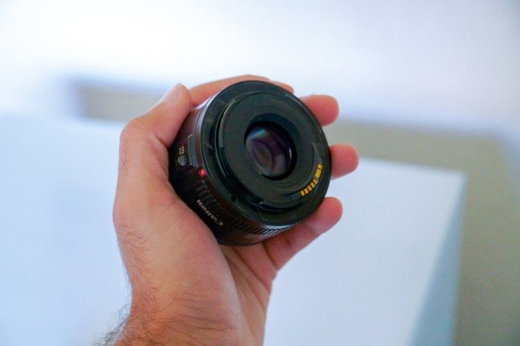 Canon Rebel T3 / 1100D