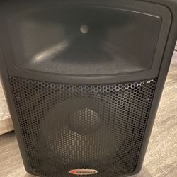 Amplified Pro Audio Speaker 