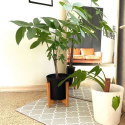 2 PC Gray  Floor Mats Kitchen, Bathroom, Indoor/Outdoor, Decor