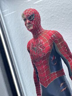 Hot Toys MMS661 Spider-Man Battle Damage Hobbyverse Custom COA